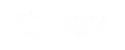 ApplePay footer logo