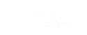 Visa footer logo